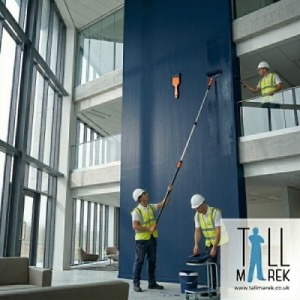 Professional commercial painters using long extension poles to paint a high navy blue feature wall in a modern glass office building.